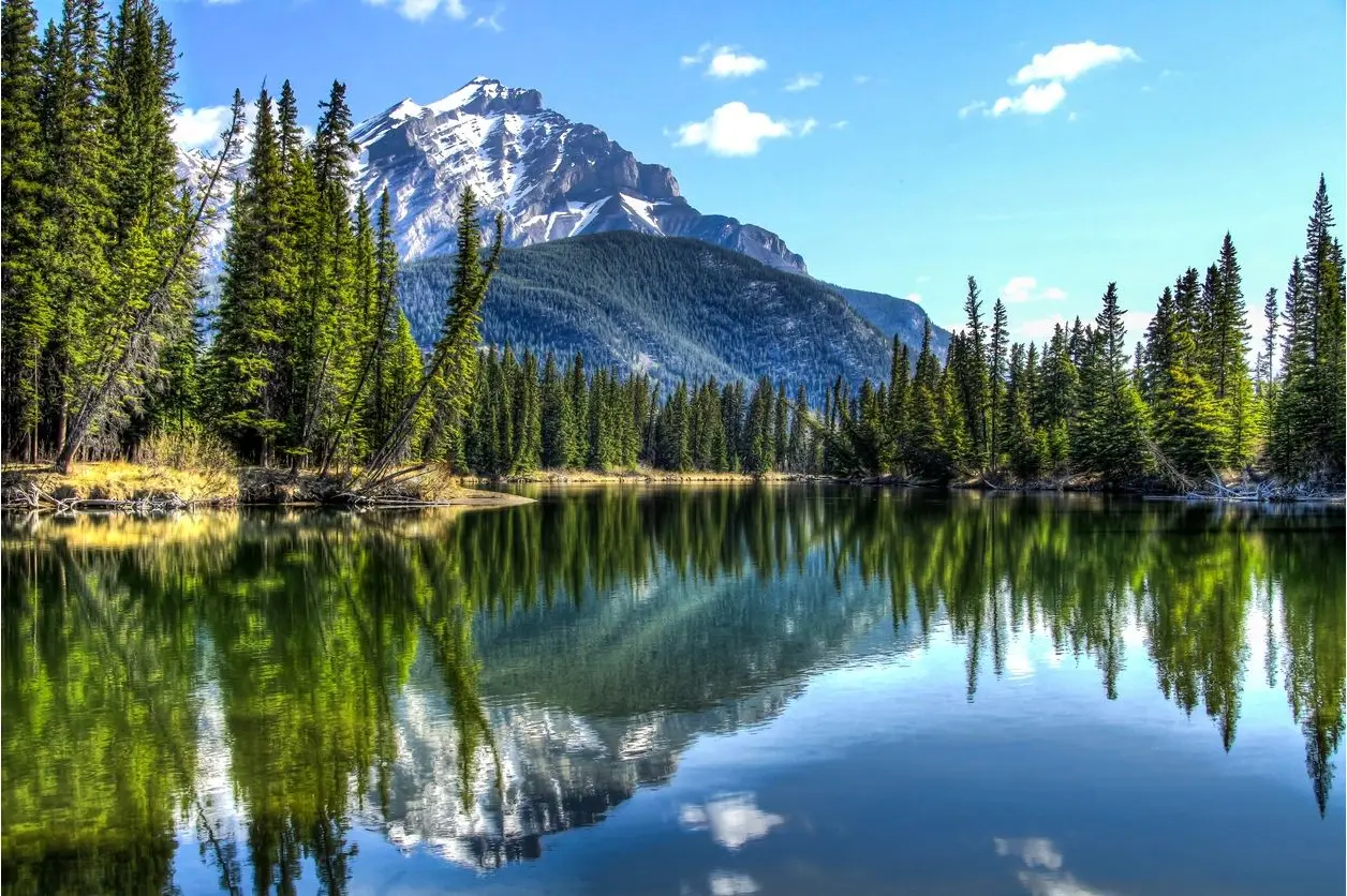 A lake with trees and mountains in the background