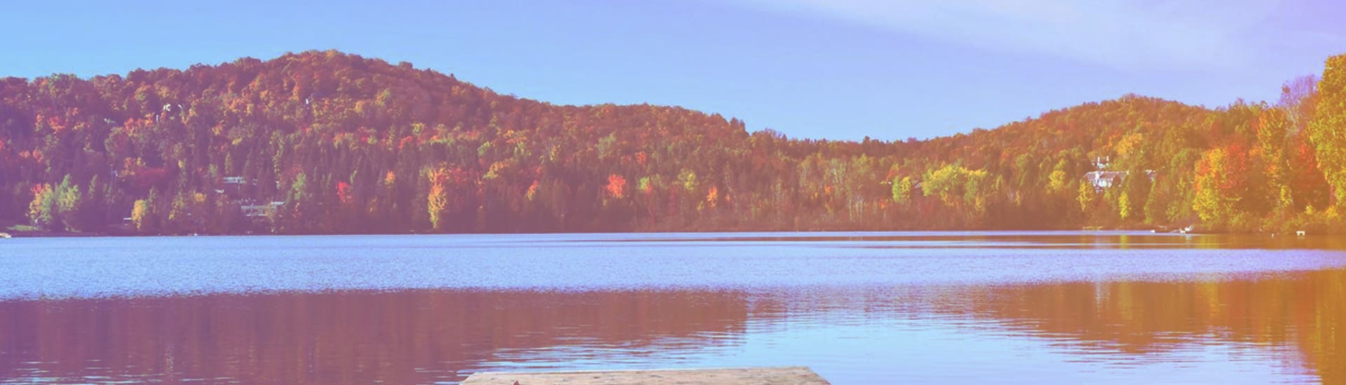 A lake with trees in the background and a dock on the shore.